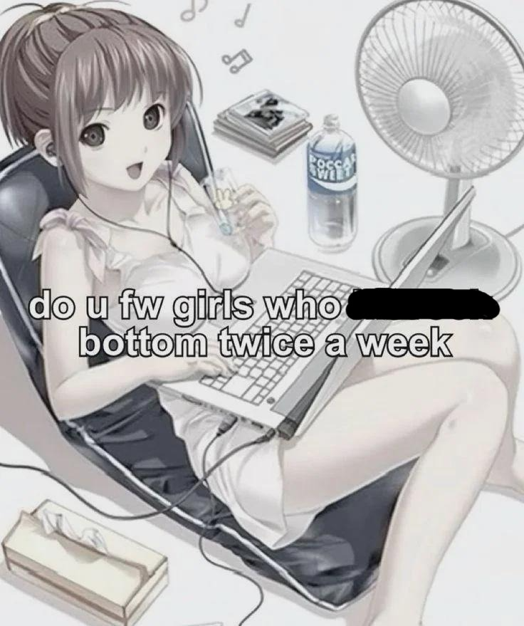 anime girl in chair with laptop on lap. caption: do u fw girls who [scratched out text] bottom twice a week