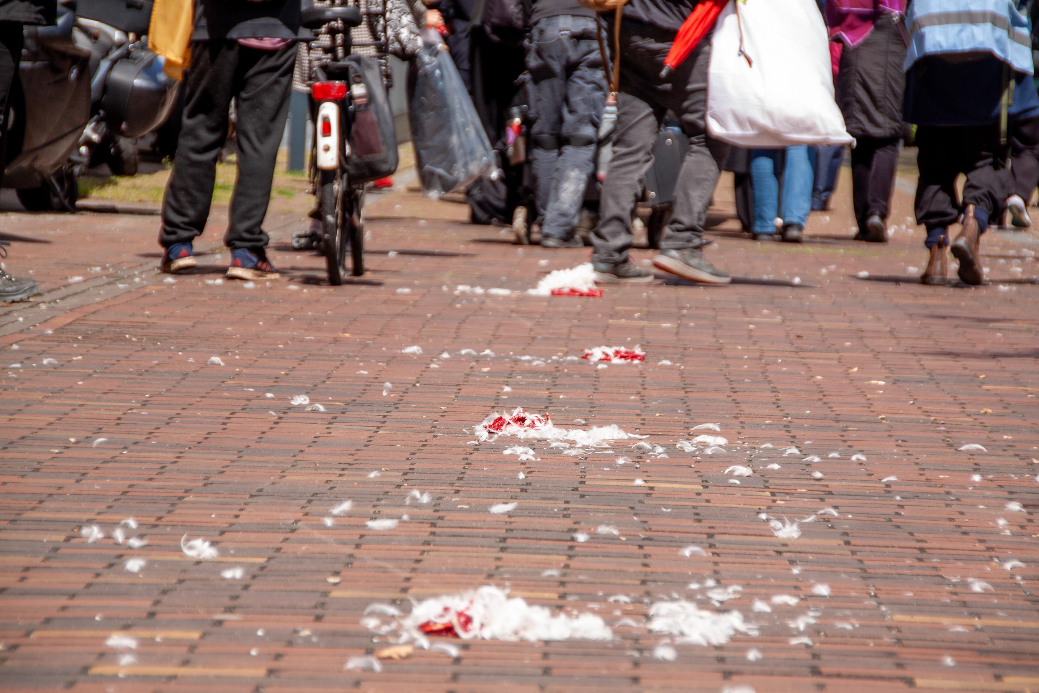 veren en plantaardig bloed op straat