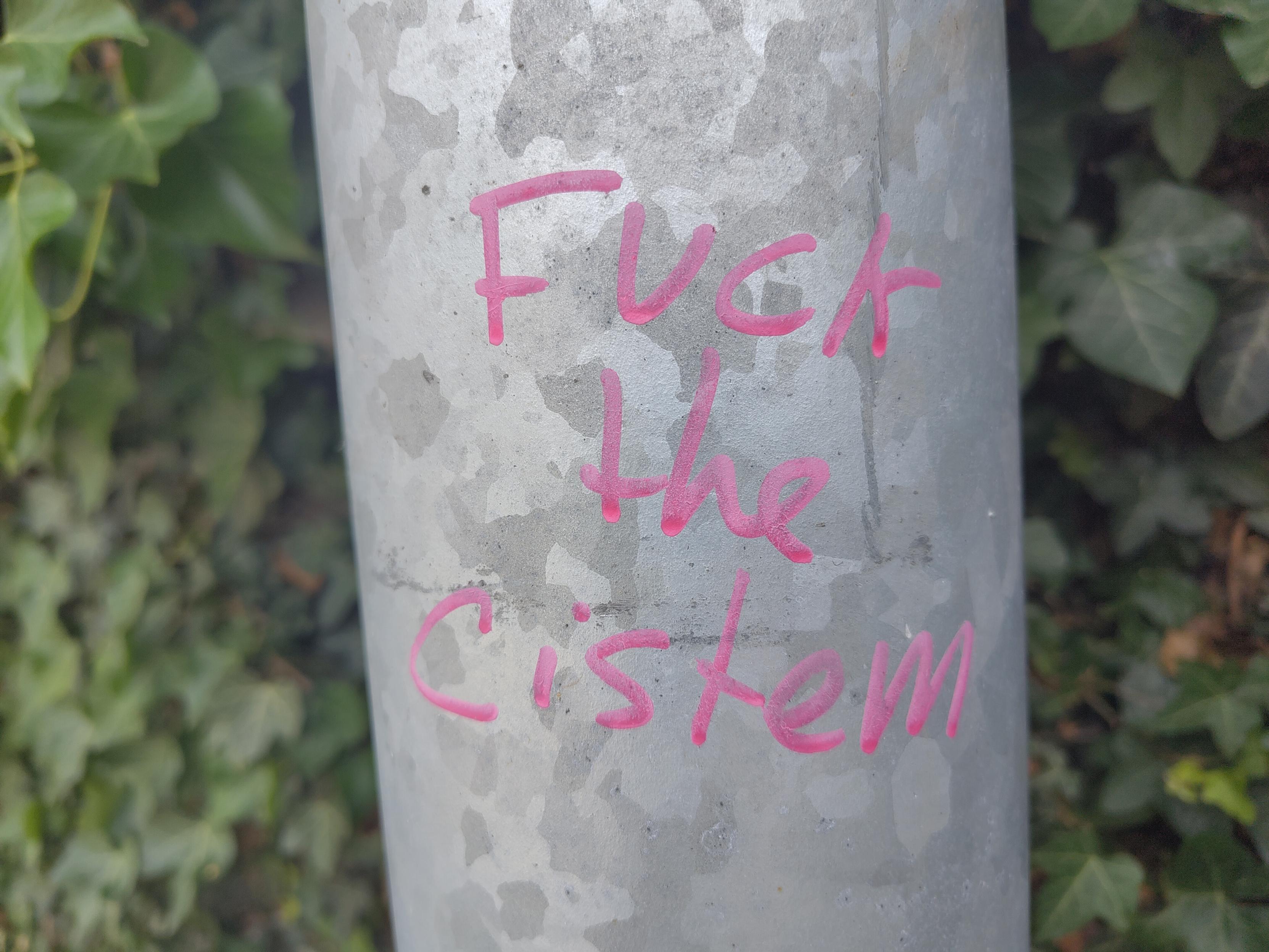 Fuck the cistem in pink marker