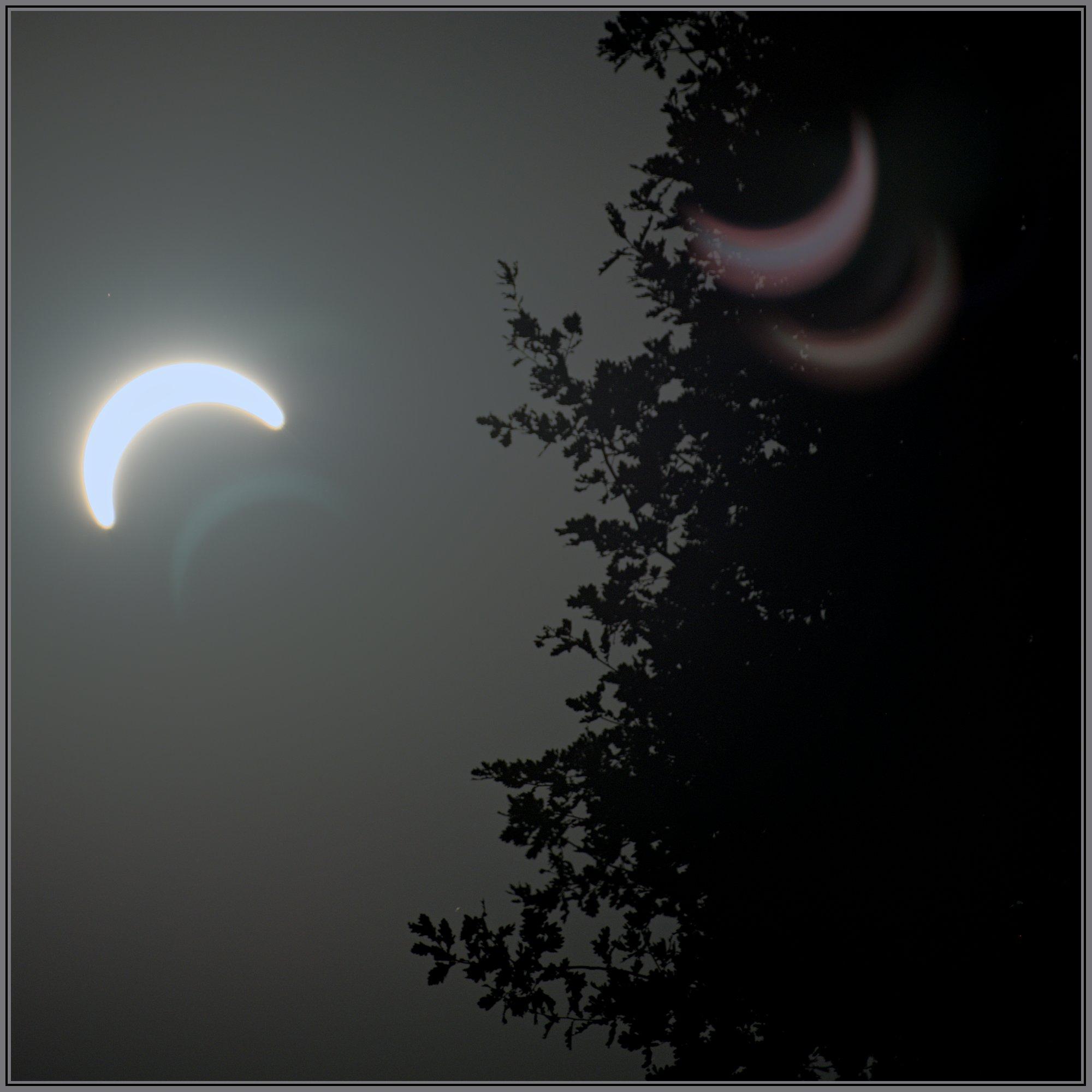Another photo of the solar eclipse this time a bit more covered and further from the tree